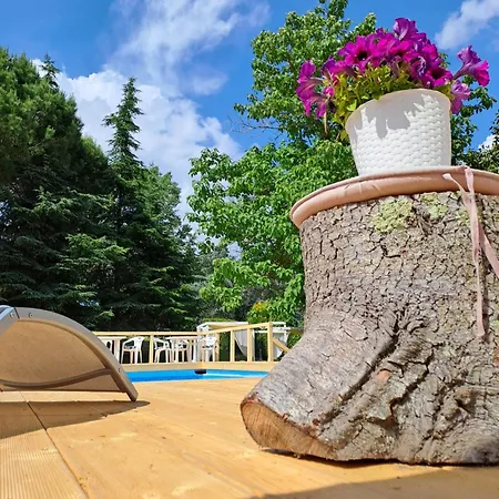 Scuderie Vgb Piscina E Maneggio Sacrofano